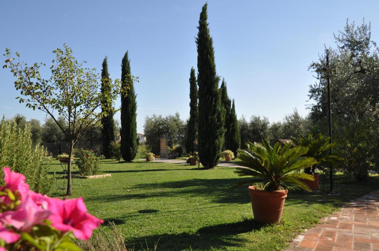Agriturismo Tori 2 Montecarlo Eksteriør billede